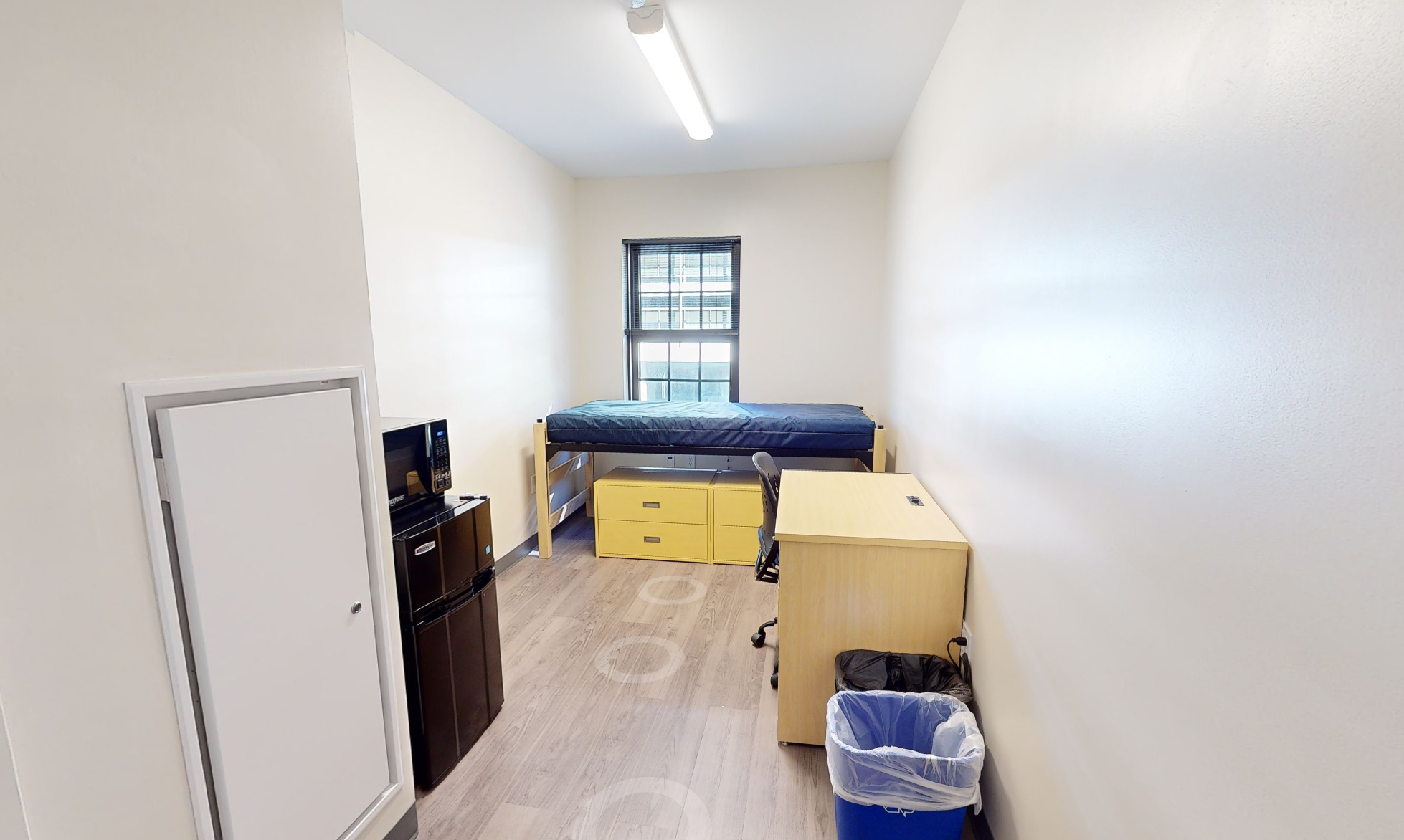 Thurston Hall single room